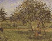 Camille Pissarro The Wheelbarrow china oil painting artist